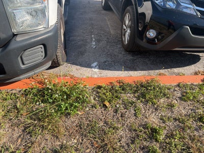 2014 Ford Super Duty F-350 SRW XL