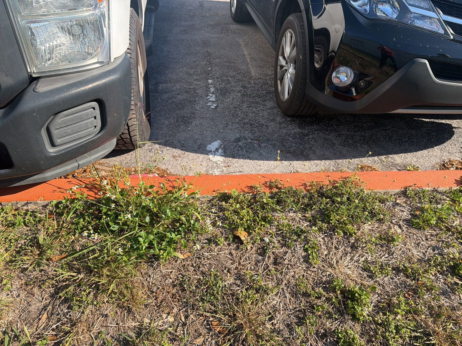 2014 Ford Super Duty F-350 SRW XL